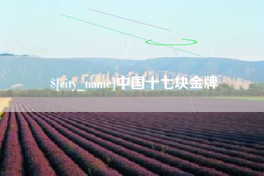 河南中国十七块金牌