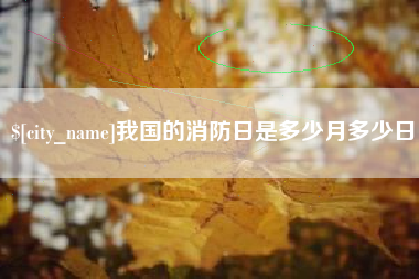 河南我国的消防日是多少月多少日
