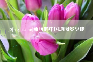 河南新版的中国地图多少钱