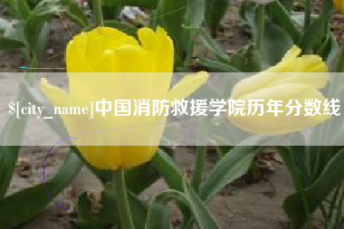 河南中国消防救援学院历年分数线