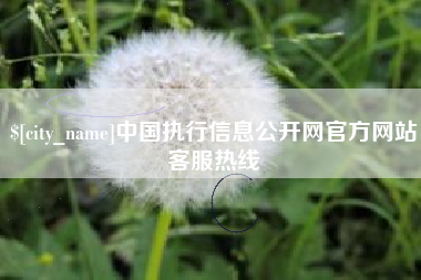 河南中国执行信息公开网官方网站客服热线