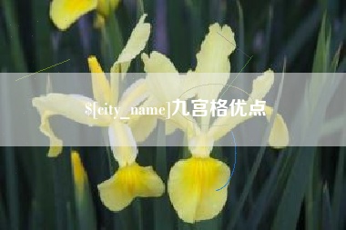 河南九宫格优点