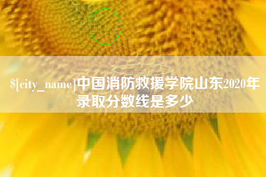 河南中国消防救援学院山东2020年录取分数线是多少