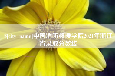 河南中国消防救援学院2021年浙江省录取分数线