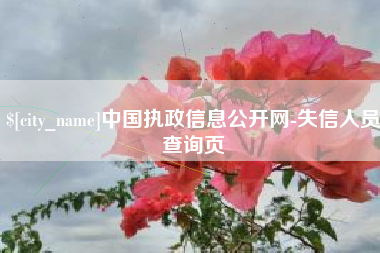 河南中国执政信息公开网-失信人员查询页