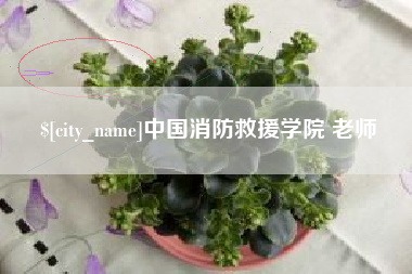 河南中国消防救援学院 老师