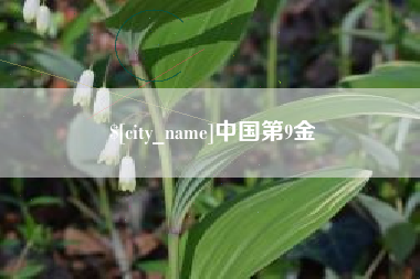 河南中国第9金