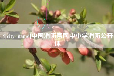 河南中国消防官网中小学消防公开课