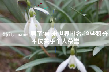 河南男子5000米世界排名-这些积分不仅关乎个人荣誉