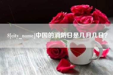 河南中国的消防日是几月几日？