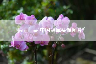 河南中国冠军头像图片