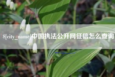 河南中国执法公开网征信怎么查询