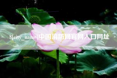河南中国消防网官网入口网址