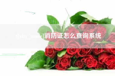 河南消防证怎么查询系统