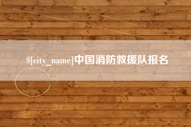 河南中国消防救援队报名