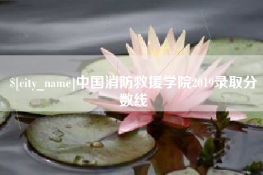 河南中国消防救援学院2019录取分数线