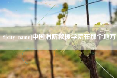 河南中国消防救援学院在那个地方