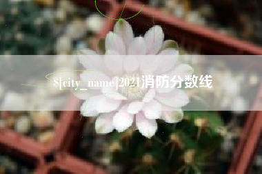 河南2021消防分数线