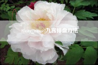 河南九宫排盘方法