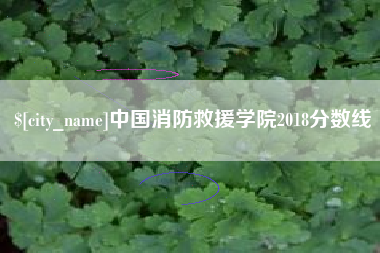 河南中国消防救援学院2018分数线