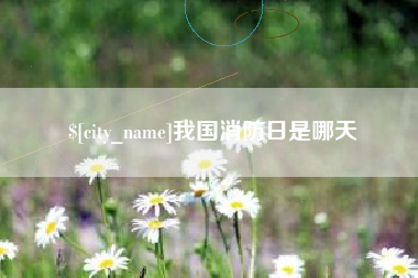 河南我国消防日是哪天