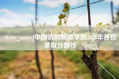 河南中国消防救援学院2020年各省录取分数线