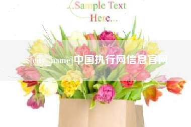 河南中国执行网信息官网