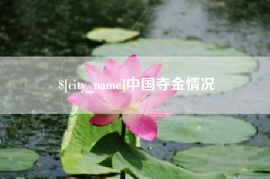 河南中国夺金情况