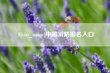 河南中国消防报名入口