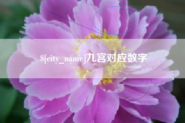 河南九宫对应数字