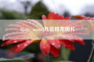 河南九宫格龙图片