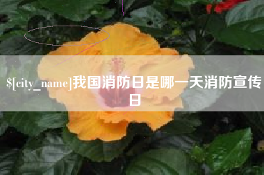 河南我国消防日是哪一天消防宣传日