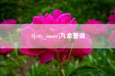 河南九金是谁