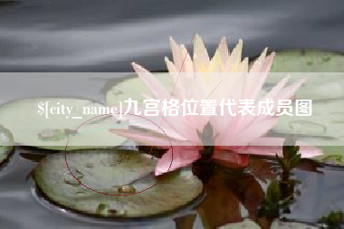 河南九宫格位置代表成员图