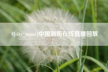 河南中国消防在线直播回放