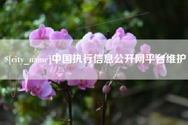 河南中国执行信息公开网平台维护