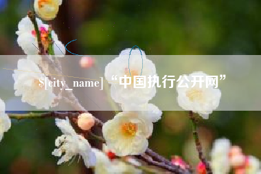 河南“中国执行公开网”