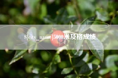 河南5000米及格成绩