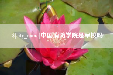 河南中国消防学院是军校吗