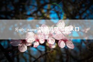 河南国家消防报名入口