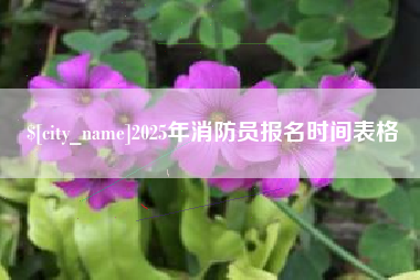 河南2025年消防员报名时间表格