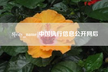 河南中国执行信息公开网后