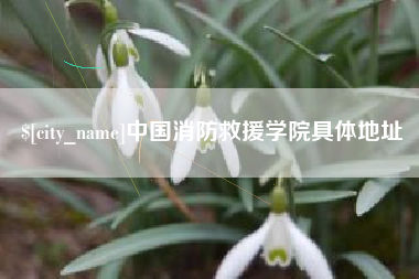河南中国消防救援学院具体地址