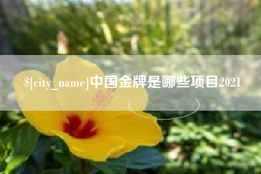 河南中国金牌是哪些项目2021