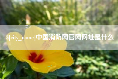 河南中国消防网官网网址是什么