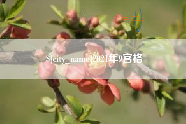河南2021年9宫格