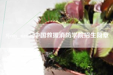 河南中国救援消防学院招生简章