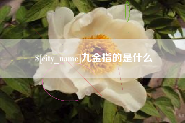 河南九金指的是什么