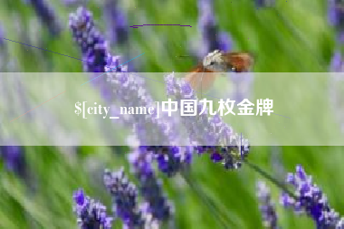 河南中国九枚金牌