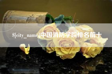 河南中国消防学院排名前十